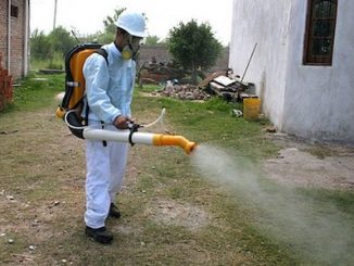 fumigaciones uruguay