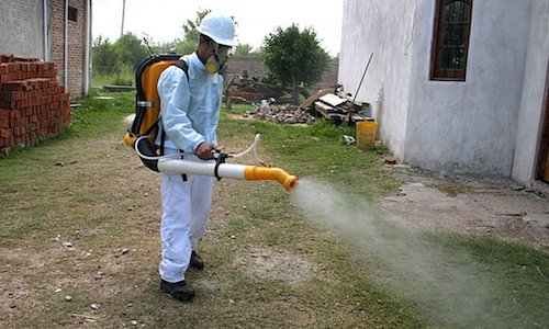 fumigaciones uruguay