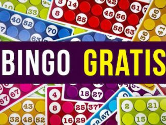 bingo gratis