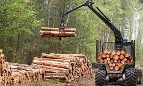 regulacion forestal Uruguay